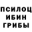 Псилоцибиновые грибы Psilocybe Glevon Neyra