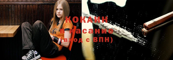 прущая мука Алзамай