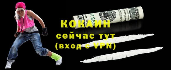 кокс Алексин