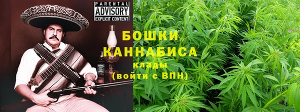 стаф Рославль