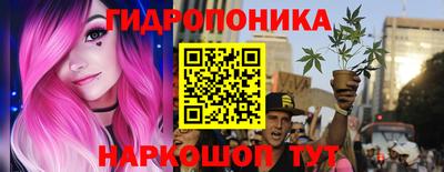 молекула духа Волжский