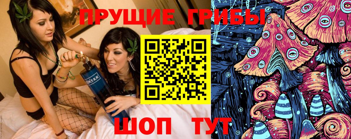 Псилоцибиновые грибы прущие грибы Кыштым